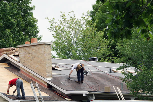 Best Roof Maintenance Services  in New Union, TN