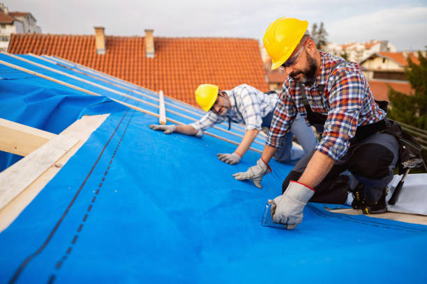 Best Roof Replacement Cost  in New Union, TN