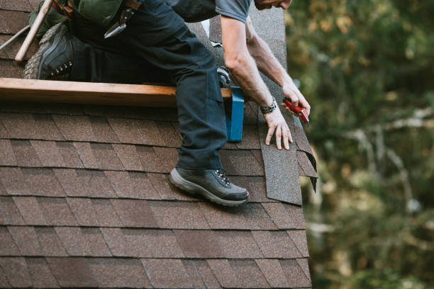 Best Roof Leak Repair  in New Union, TN